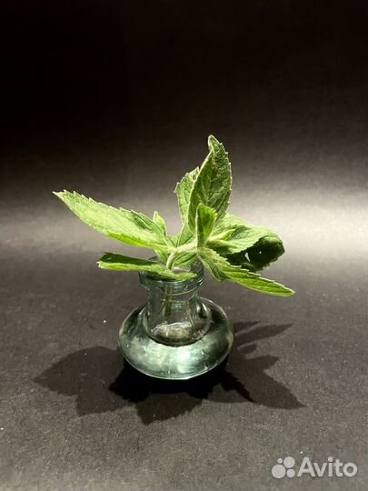 Пробка от графина СССР стекло