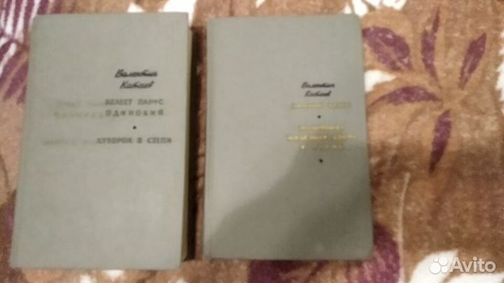 Литература: Давыдов, Голицын, Катаев, Беляев и др