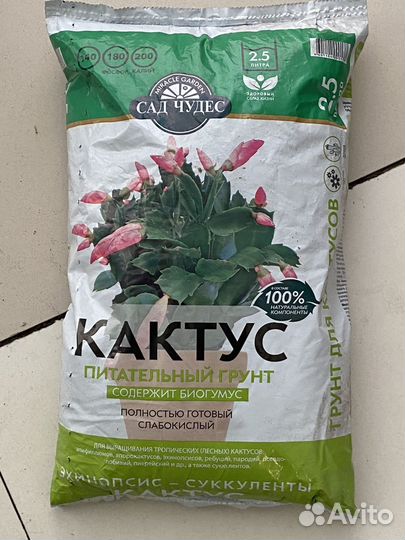 Грунт для кактусов