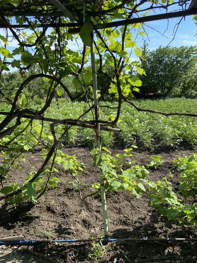 Дача 16 м² на участке 10 сот.