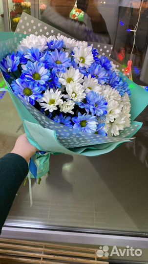 Хризантемы ромашки пышные. Доставка