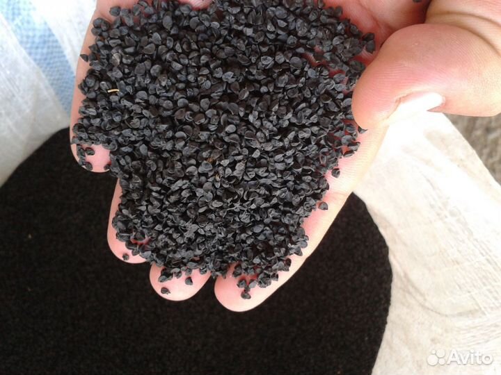 Семена Лук, кинза, шпинат