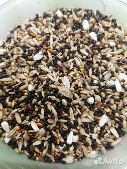 Корм для канареек, певчих птиц