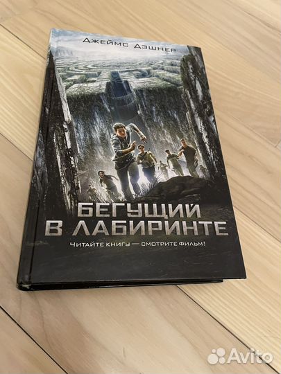 Бегущий в лабиринте