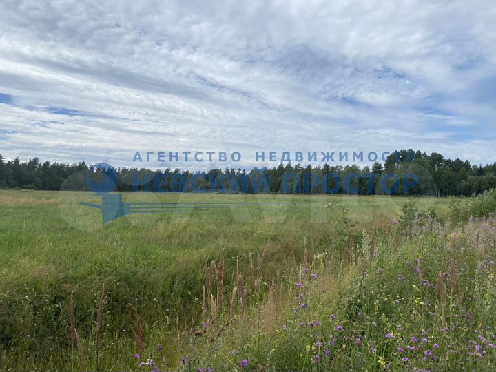 Участок 3,5 га (СНТ, ДНП)