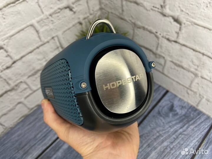 Колонка Hopestar A41 Мурена