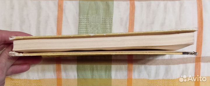 Гордин Руфин. Странная персона