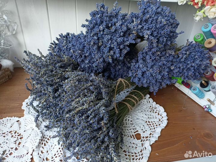 Лаванда сухоцвет букеты лаванды