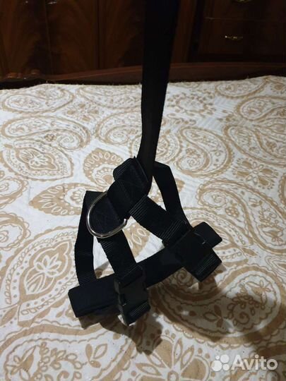 Автомобильная шлейка размер S