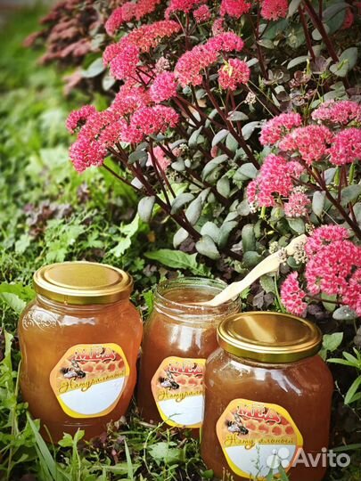 Мед, мёд в сотах, перга, пыльца