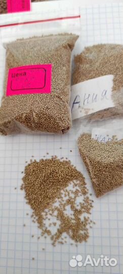 Семена клубники, малины,ежевики ремы