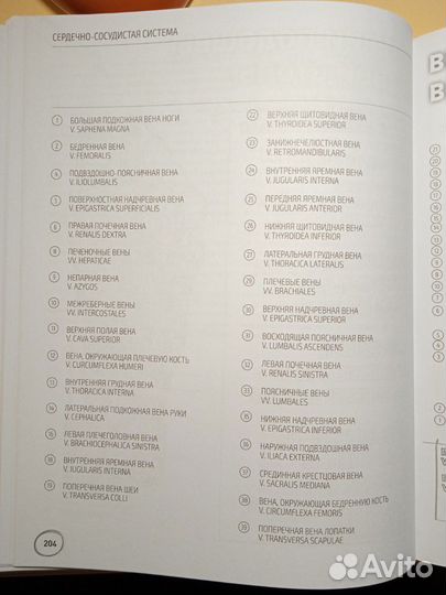 Анатомия русско-латинский атлас