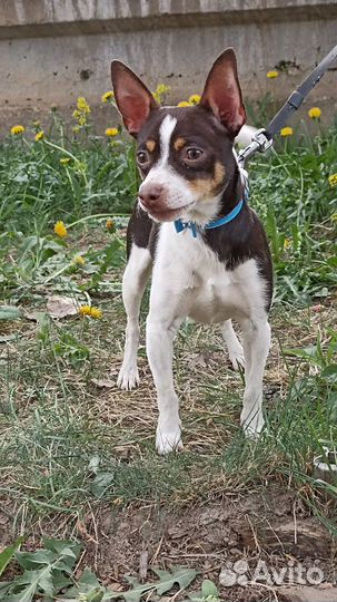 В надежные руки