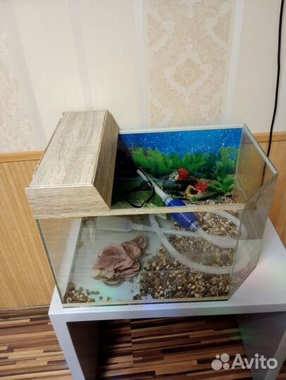 Аквариум 60л