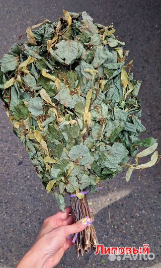 Веники для бани 2023