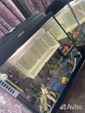 Аквариум с рыбками