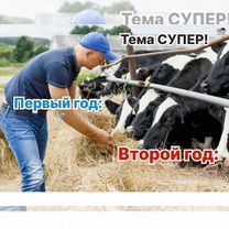 Животноводческое агентство в городе, Гарчак