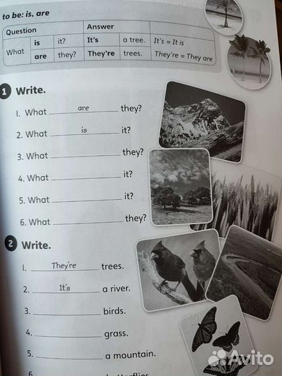 Учебное пособие Our World second edition