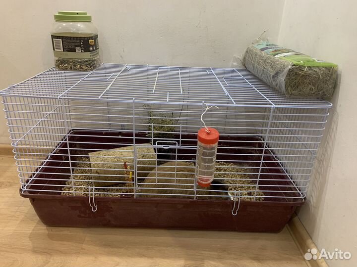 Кролик с клеткой