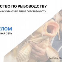 Агентство по рыбоводству в городе Душанбе, Душанбе