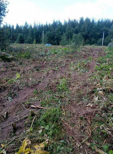 Участок 30 сот. (ИЖС)