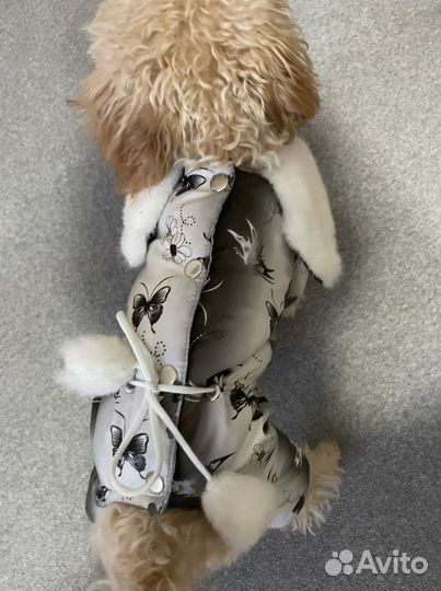 Комбинезон для маленькой собаки