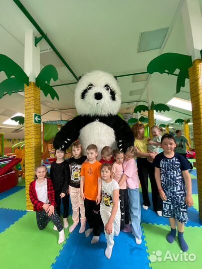 Поздравления от Панды