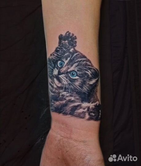 Татуировка. Нанесение, исправление.Опытный мастер