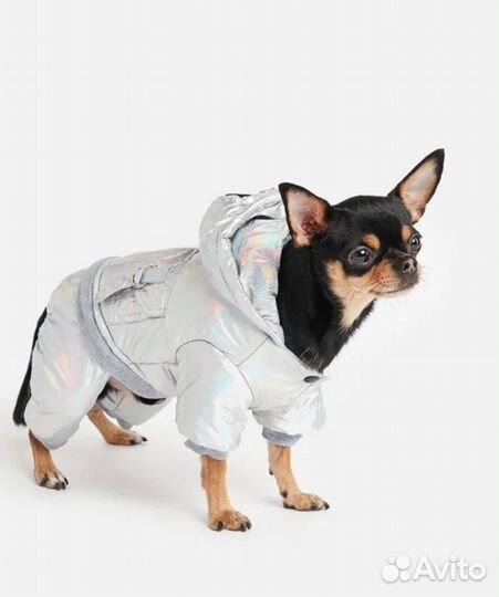 Комбинезон для собаки