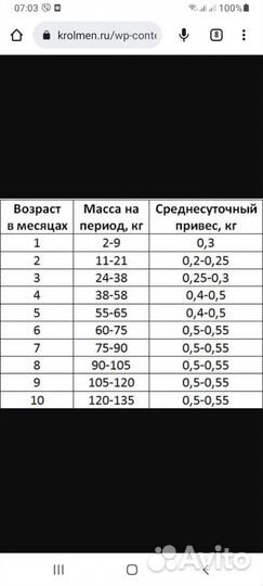 Поросенок