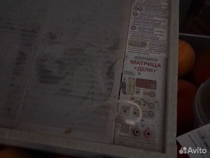Инкубатор матрица 