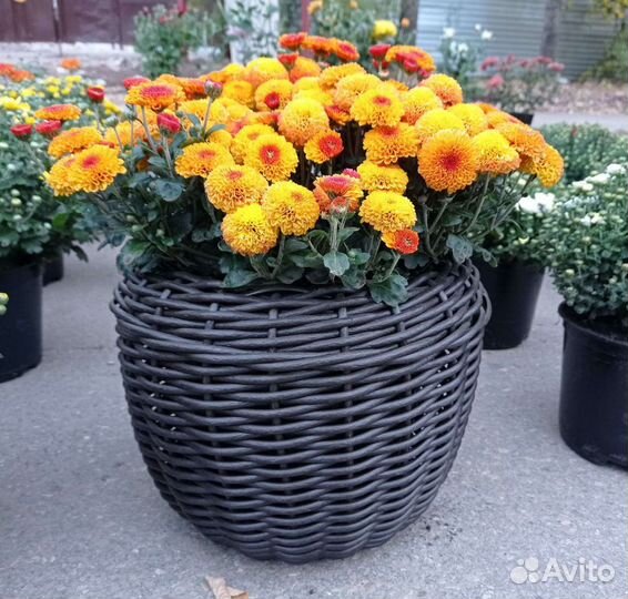 Кашпо вазоны из искусственного ротанга