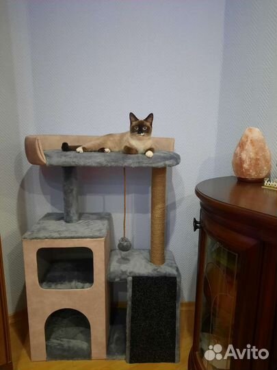 Когтеточка,домик для кошки,комплекс