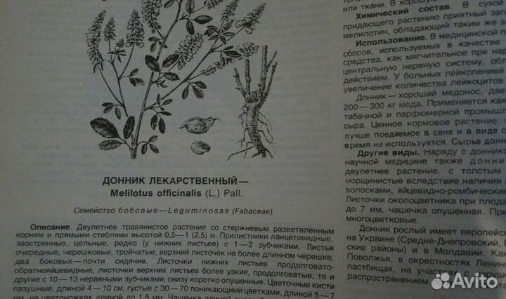 Атлас ареалов и ресурсов лекарственных растений