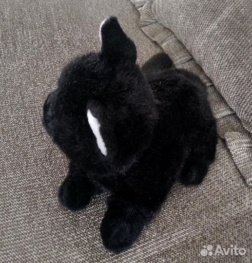 Красивый и пакостный котик