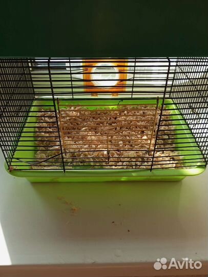 Клетка для грызунов большая