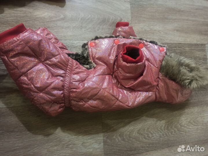 Одежда для собак мелких пород