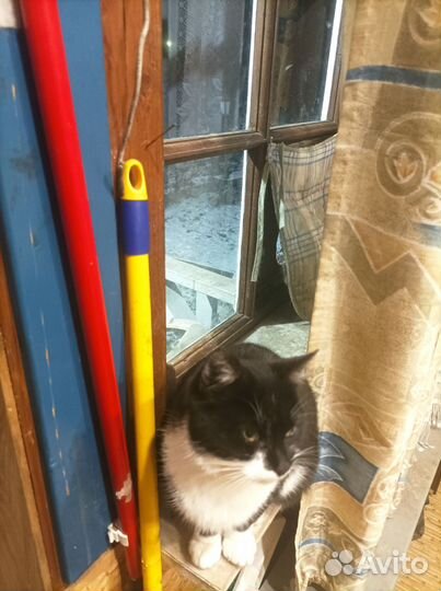 Помогите найти дом