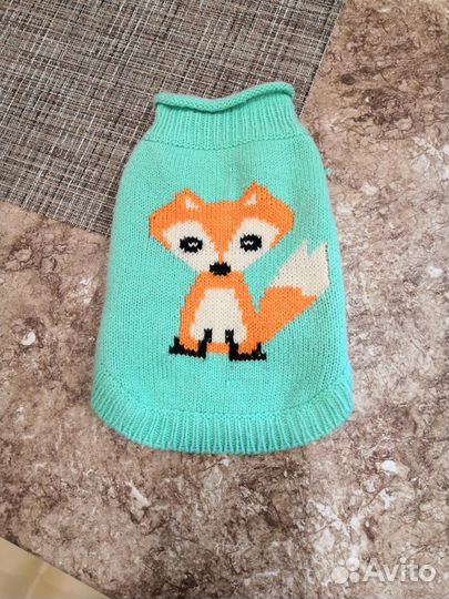 Одежда для кошек