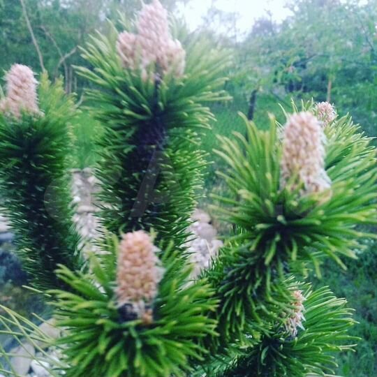 Дом 200 м² на участке 4 сот.