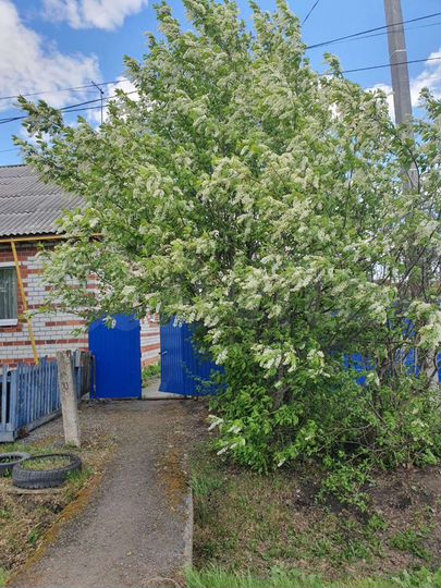 Дом 120 м² на участке 25 сот.