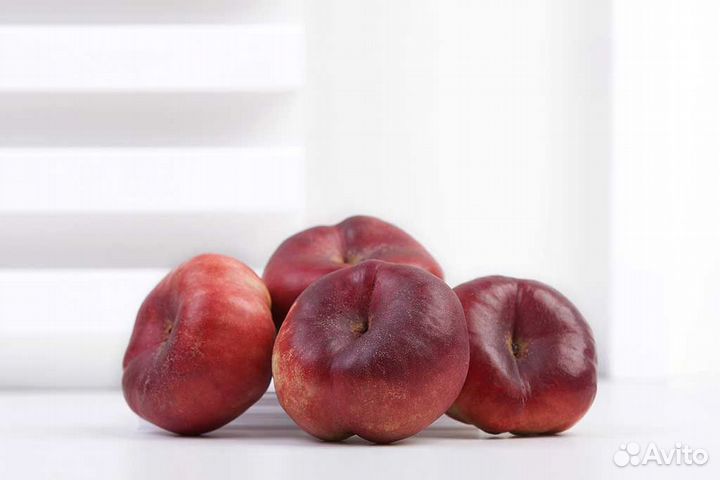 Саженцы Инжирного нектарина Ориола