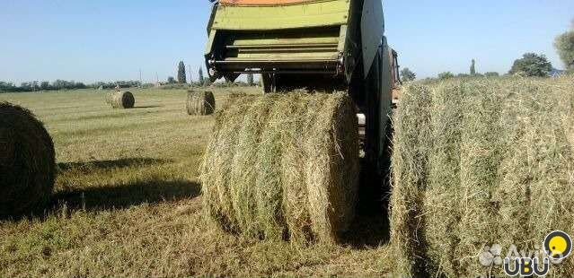 Все виды кормов для животноводства