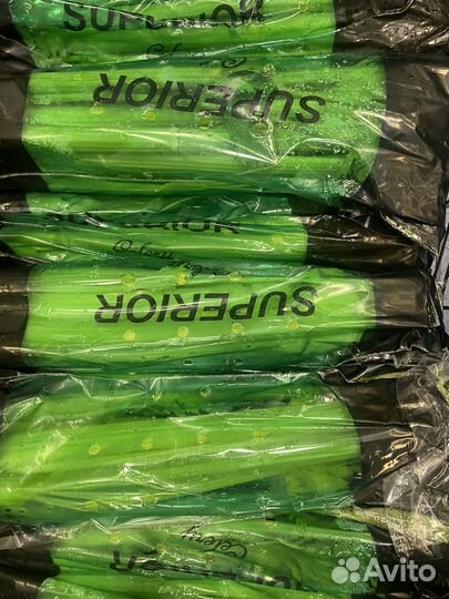 Сельдерей свежий