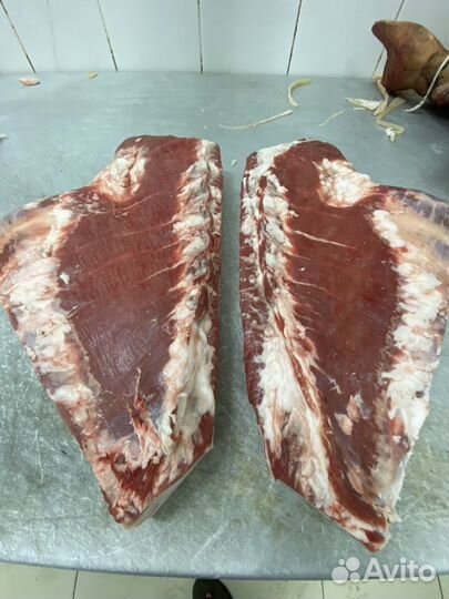 Пашина/Корейка