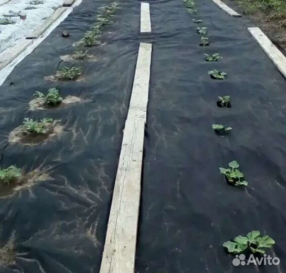 Агроспан. Чёрный. 60