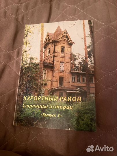 Курортный район