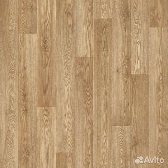 Линолеум Tarkett Sprint Pro Baden 1