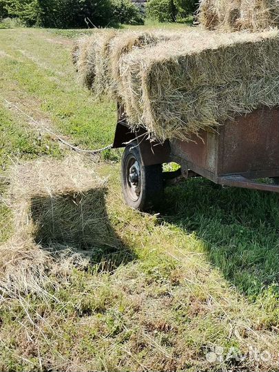 Сено в тюках