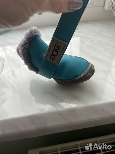 Обувь для собаки средних пород